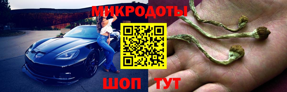 Галлюциногенные грибы Cubensis  Вход с VPN  Тельмана 