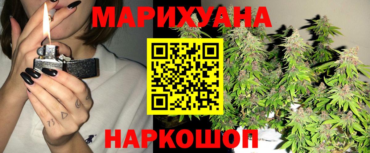 МАРИХУАНА сатива Тельмана